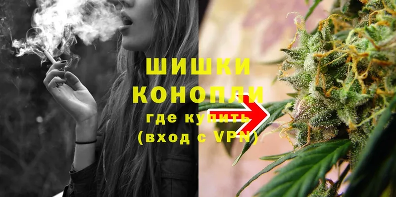 Шишки марихуана SATIVA & INDICA  кракен сайт  Карачаевск  купить  